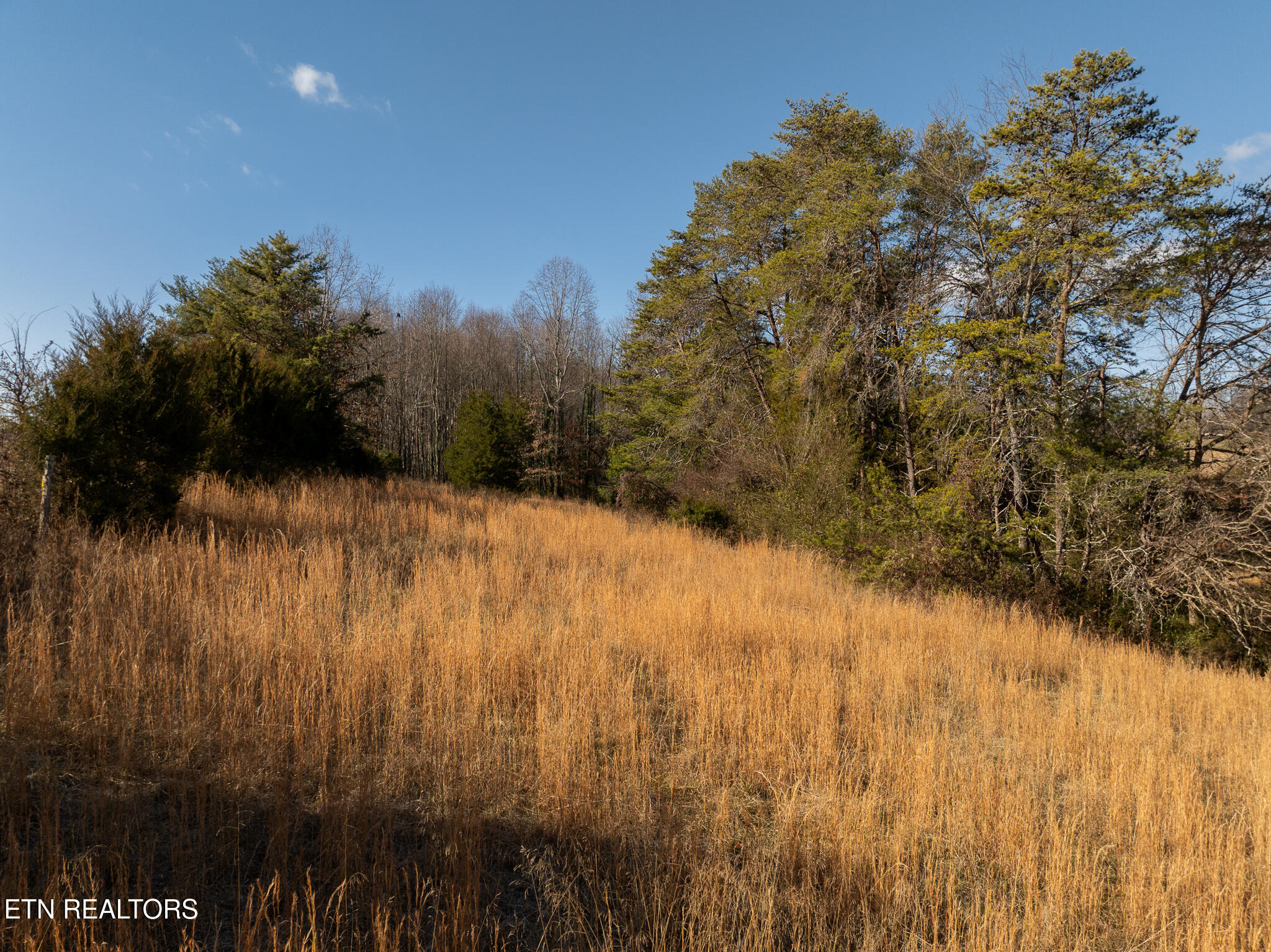 Salem Road Greenback, TN 37742 - Photo 24 of 27 untitled-24
