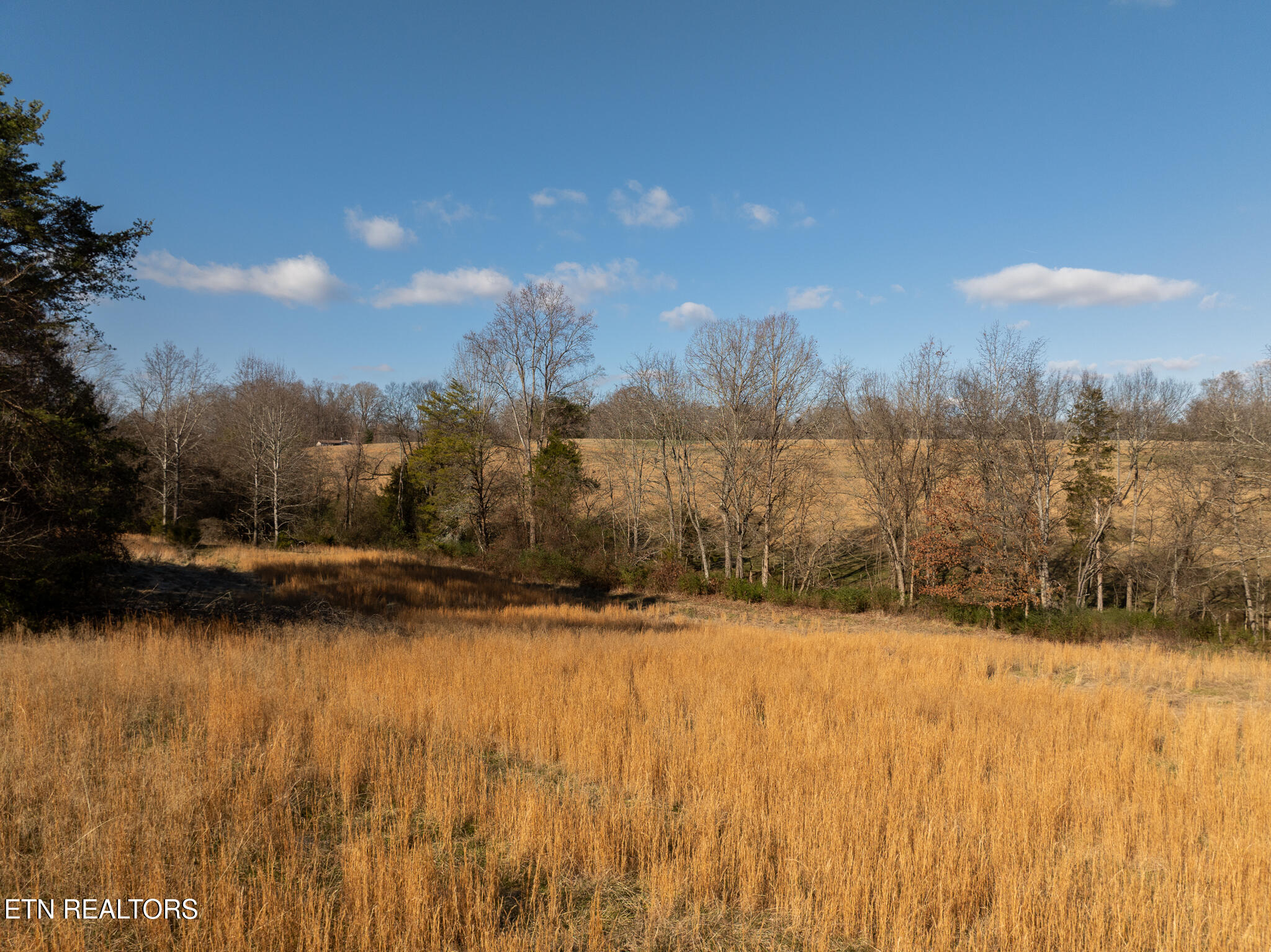 Salem Road Greenback, TN 37742 - Photo 25 of 27 untitled-25