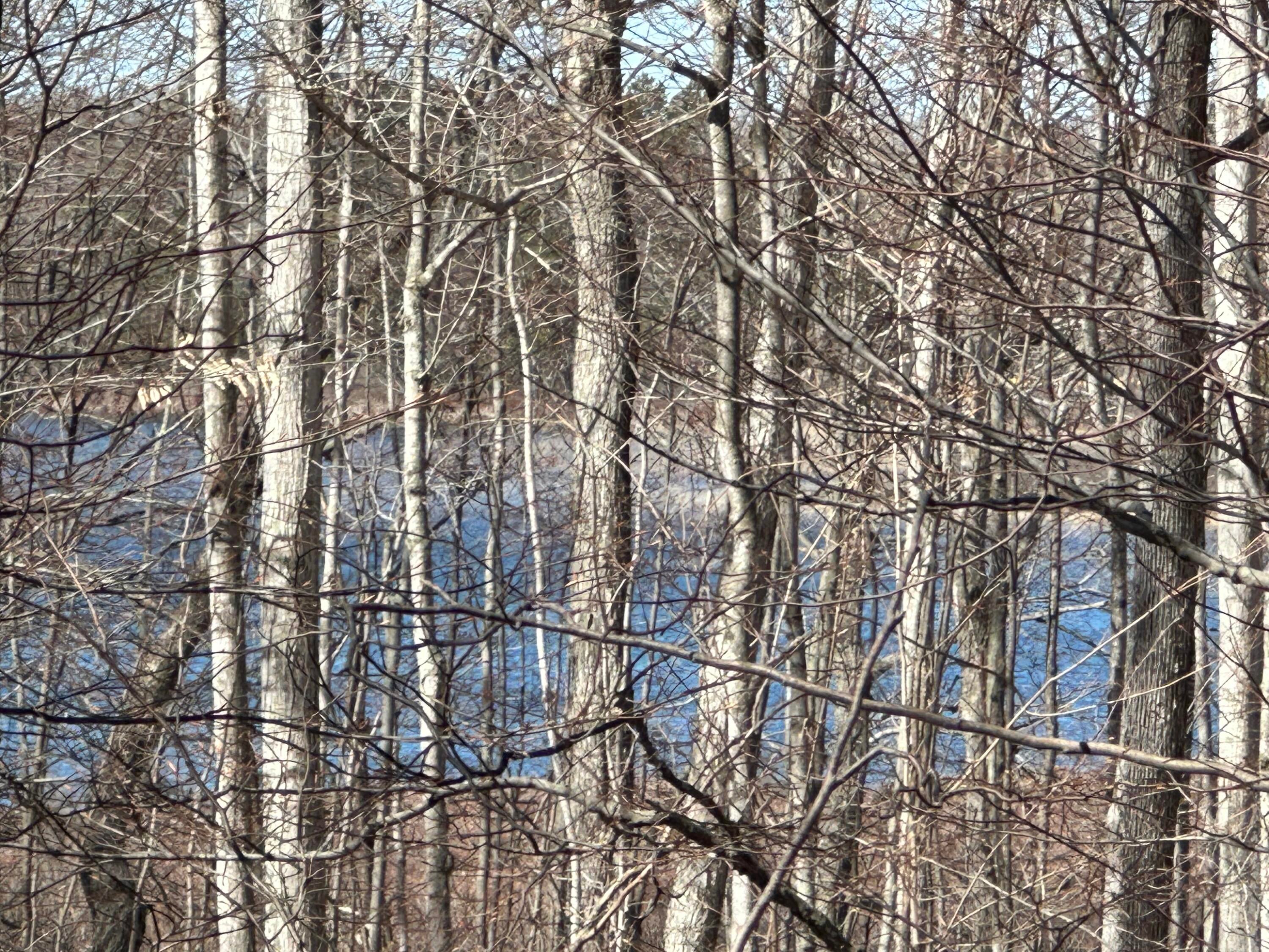 Sugar Ridge Lane Carp Lake, MI 49718 - Photo 1 of 11 Gallery Image 1