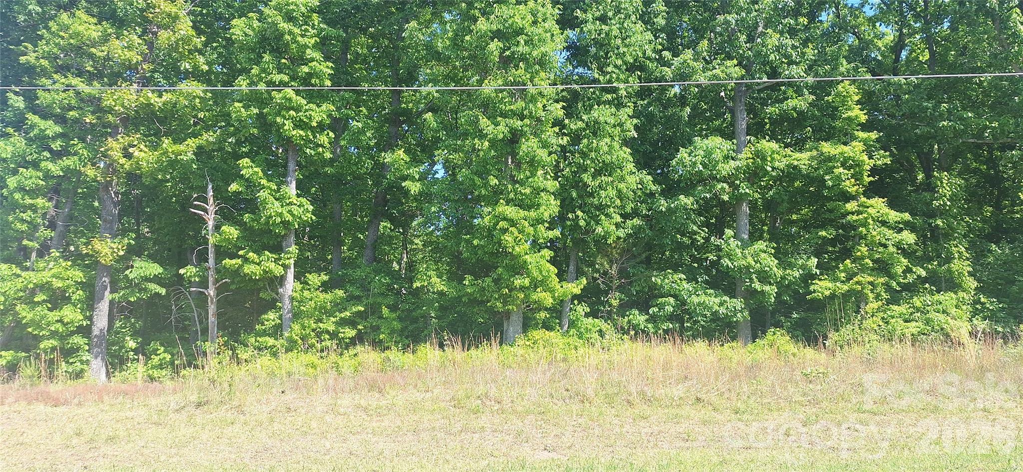 620 Long Shoals Road Lincolnton, NC 28092 - Photo 1 of 3
