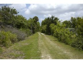 3125 Hammock Road Mims, FL 32754 - Photo 2 of 12 Additional Photo