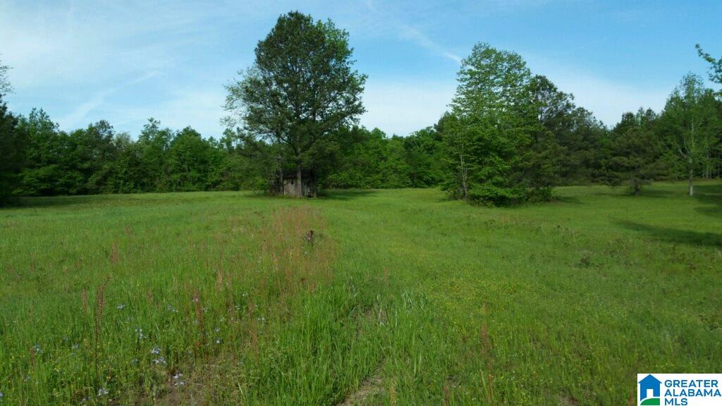 0 Elam School House Road, Unit 36 ACRES Brent, AL 35034 - Photo 5 of 7