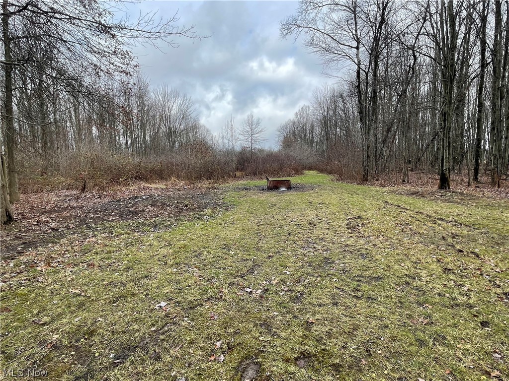 6135 California Road Williamsfield, OH 44093 - Photo 30 of 37 View of yard