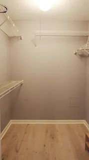 a view of a backyard with plants