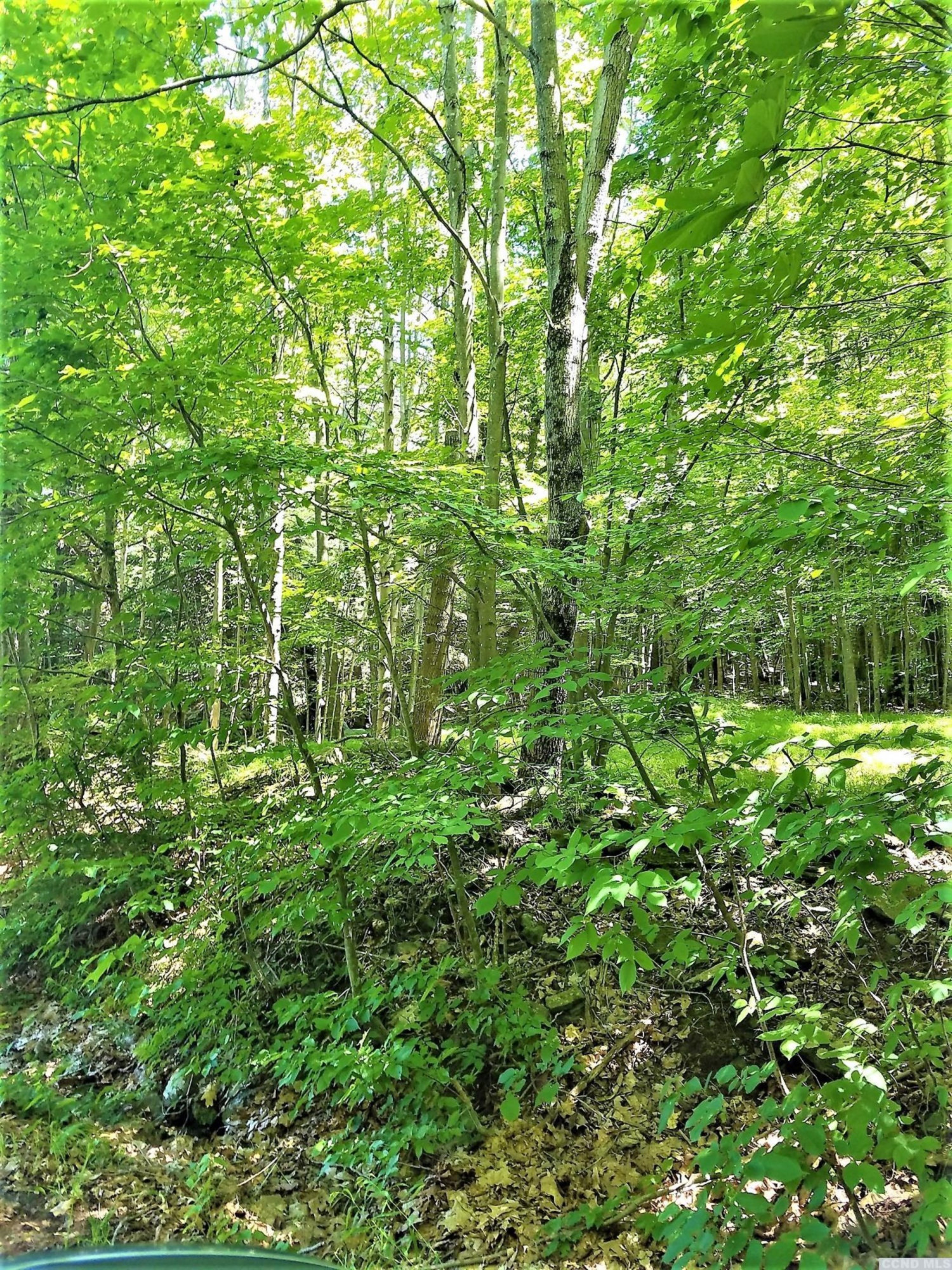 0 Ferris Hill Road Grand Gorge, NY 12434 - Photo 7 of 10 Photo 7