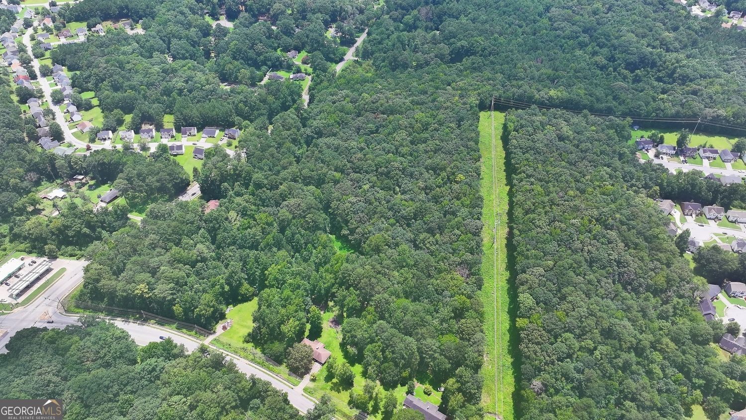 3825 Panthersville Road Ellenwood, GA 30294 - Photo 6 of 15 a view of a green yard