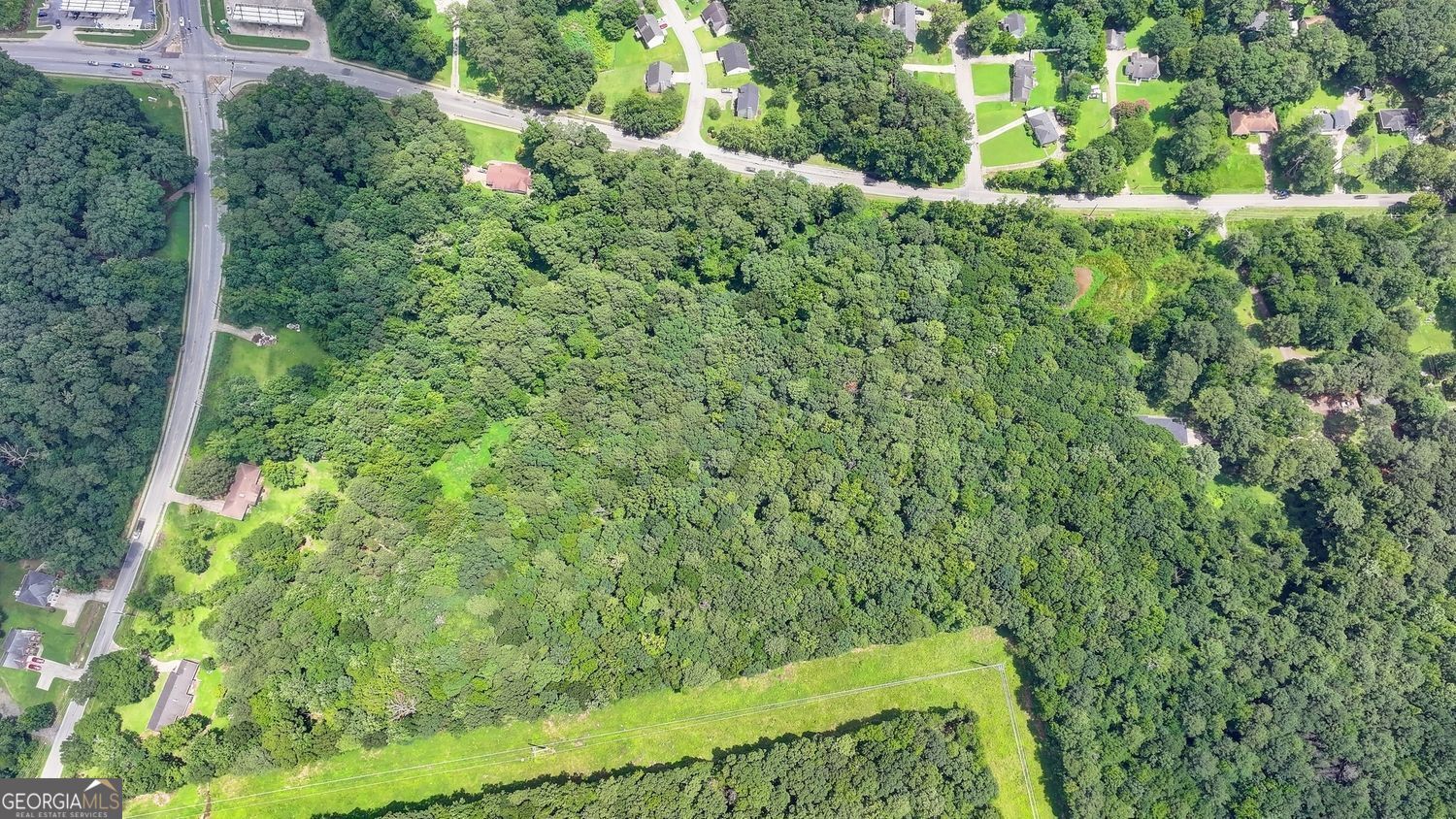 3825 Panthersville Road Ellenwood, GA 30294 - Photo 8 of 15 a view of a garden with plants