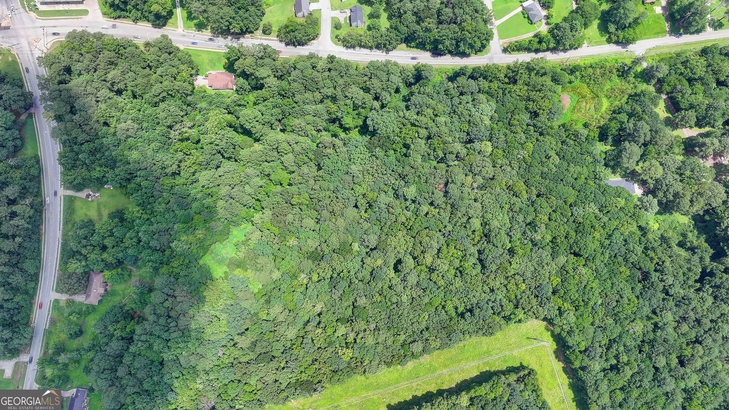 3825 Panthersville Road Ellenwood, GA 30294 - Photo 9 of 15 a view of a lush green forest