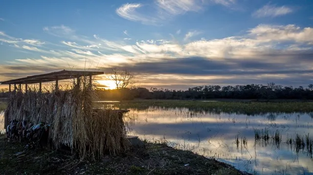 a view of a lake in middle of a city
