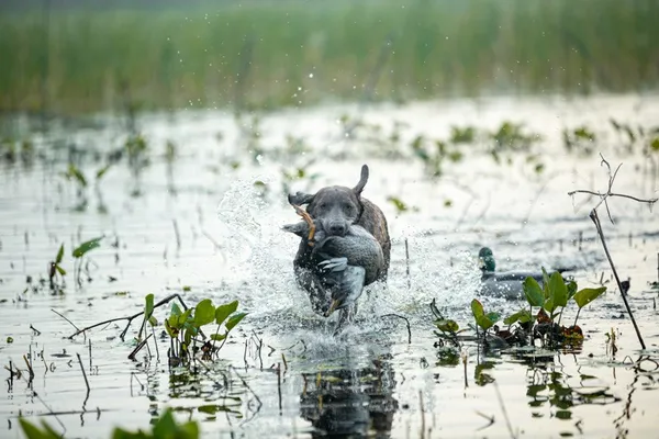 $885,000 | 109 Mallard Lane, Columbus, TX 78934