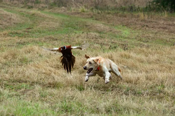 $885,000 | 109 Mallard Lane, Columbus, TX 78934