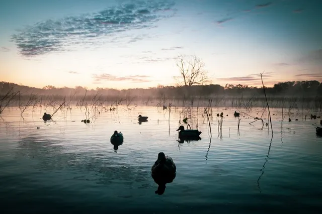 a view of a golf course with a lake view