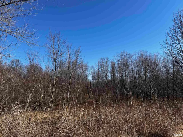 $93,900 | 705 East Everett Street, Marion, IL 62959