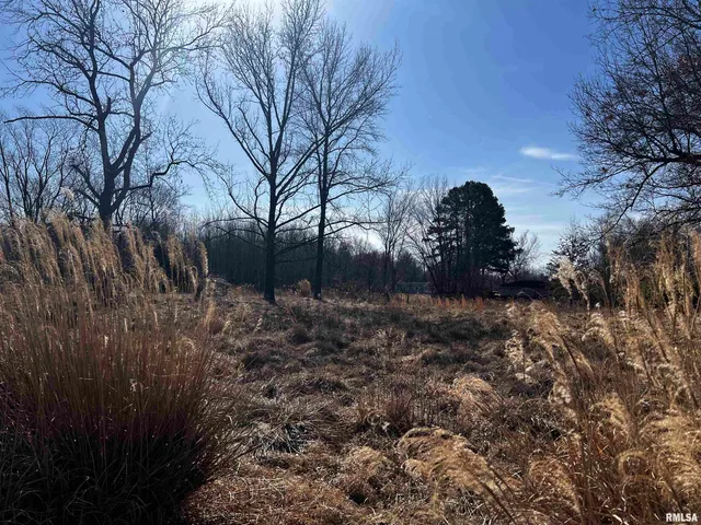 $93,900 | 705 East Everett Street, Marion, IL 62959