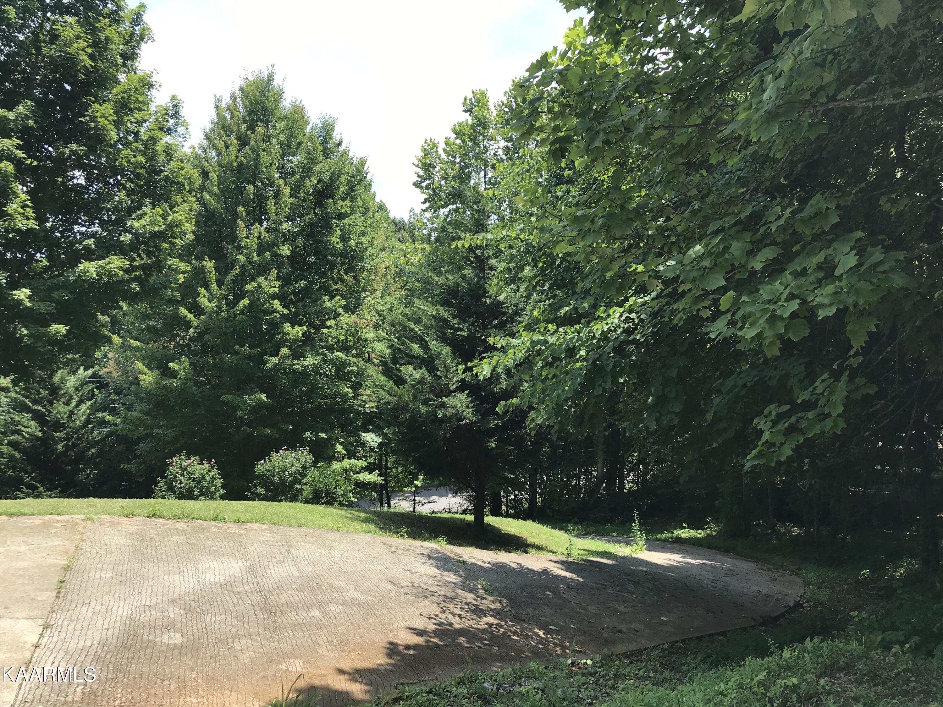 902 Chimney Rock Road New Tazewell, TN 37825 - Photo 6 of 21 1E5079DF-0E98-4192-9365-696BB9F4803A