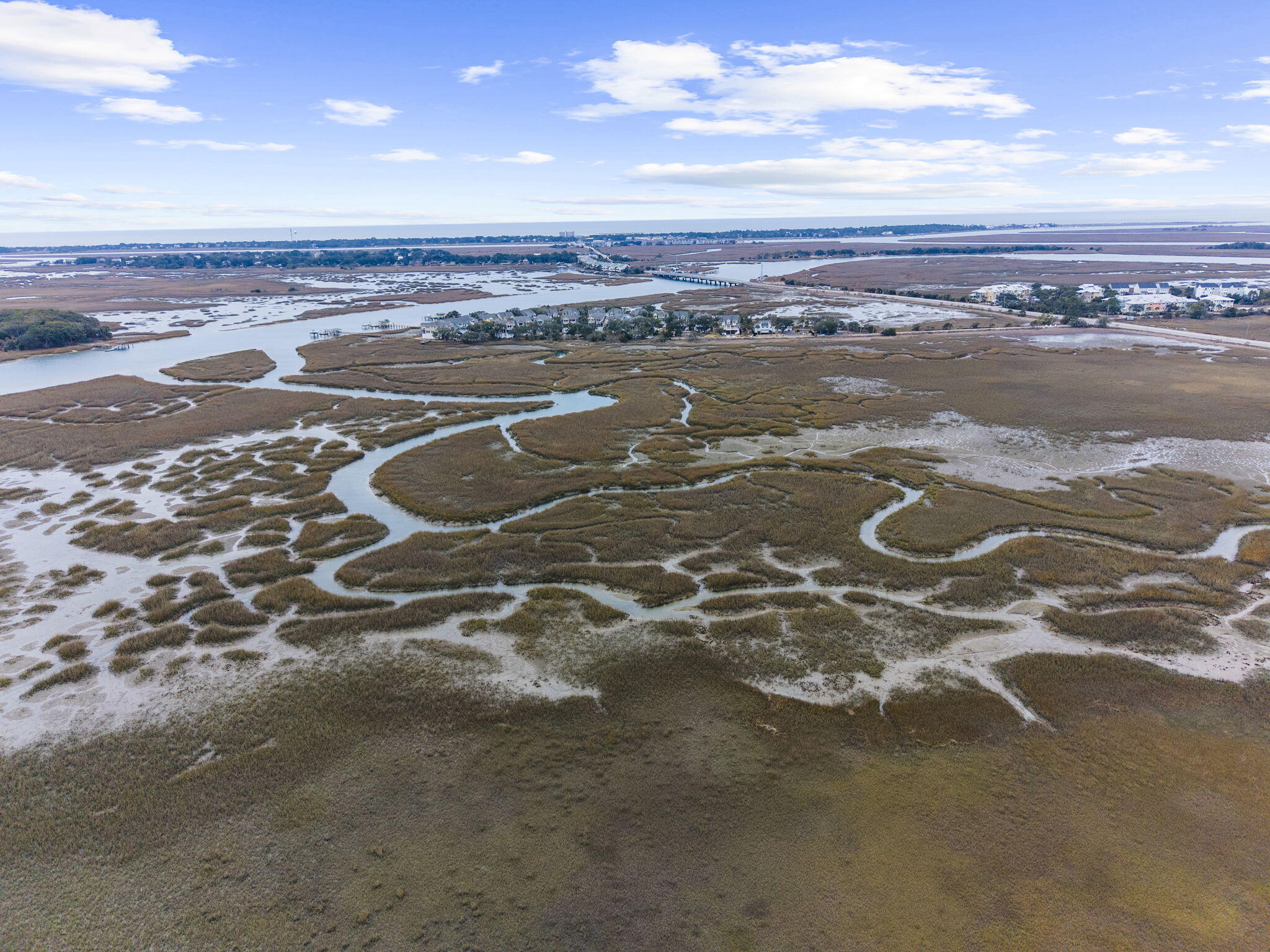 1606 Terns Nest Road Charleston, SC 29412 - Photo 45 of 49 47-web-or-mls-dji_fly_20260211_120730_00