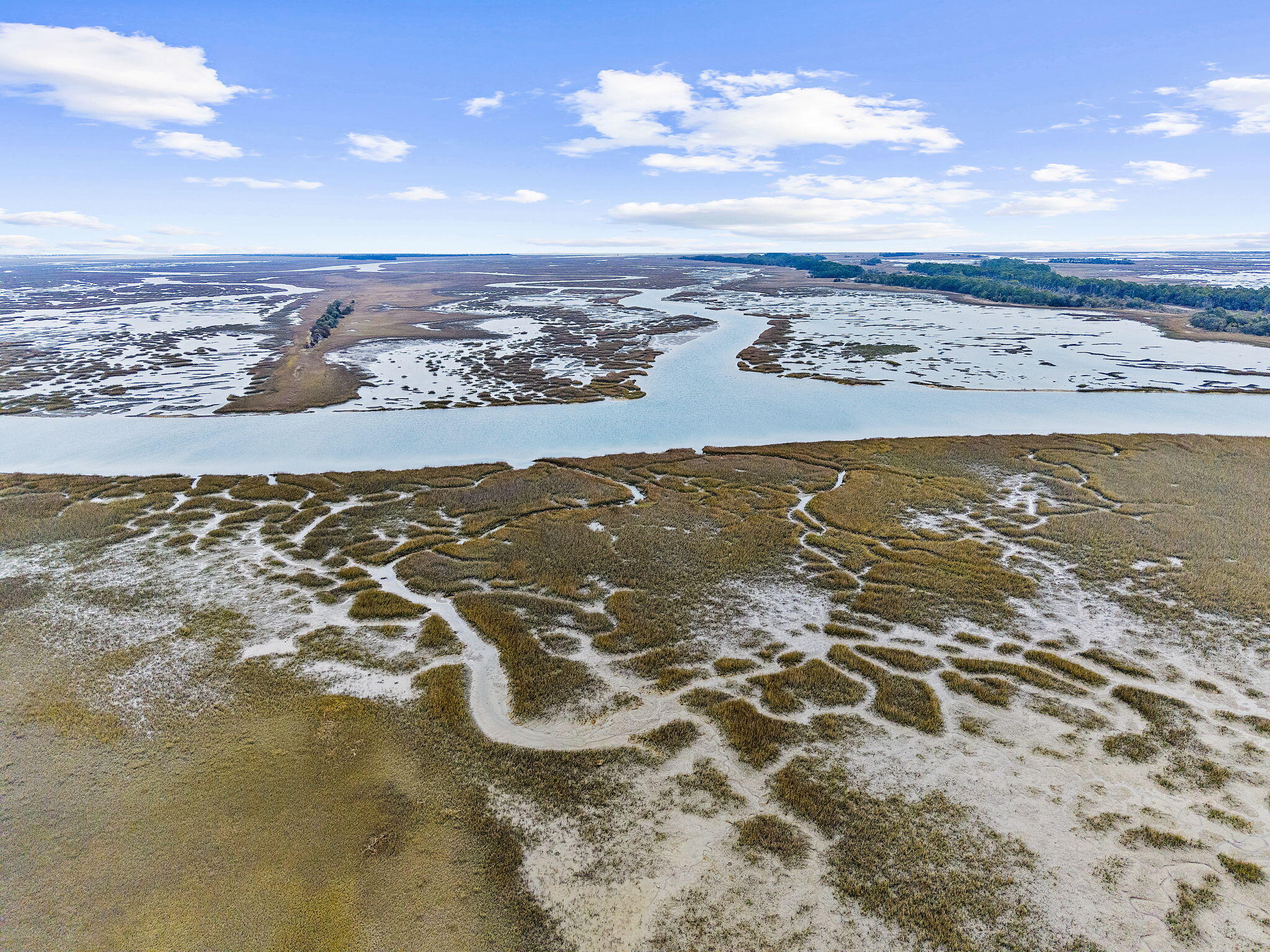 1606 Terns Nest Road Charleston, SC 29412 - Photo 46 of 49 48-web-or-mls-dji_fly_20260211_120742_00