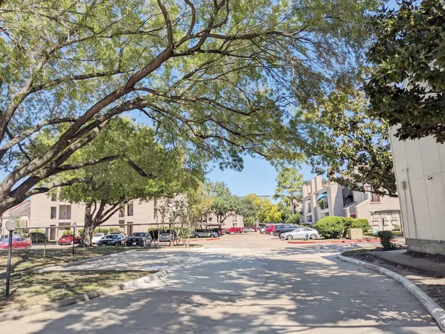 a view of a trees and a tree in the background
