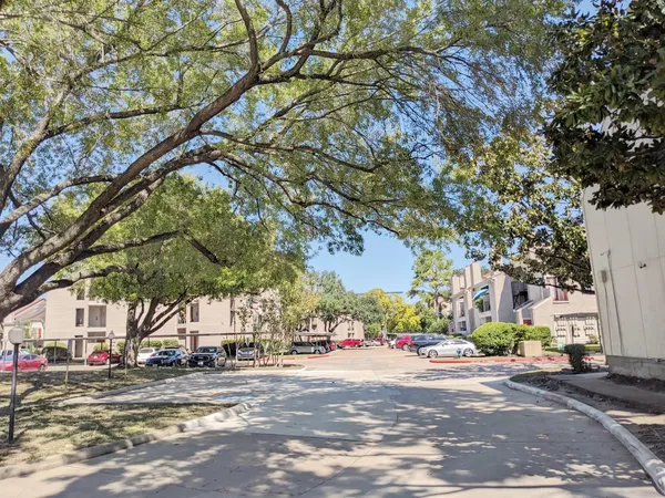 a view of a trees and a tree in the background