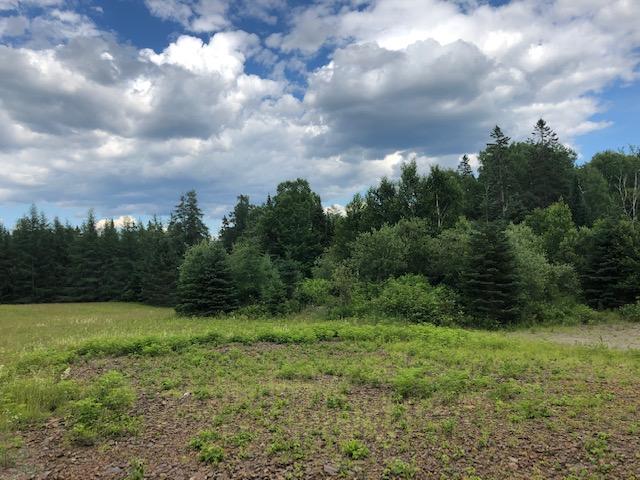 Lot 51 Booker Road Rangeley, ME 04970 - Photo 8 of 12 Border of Trees