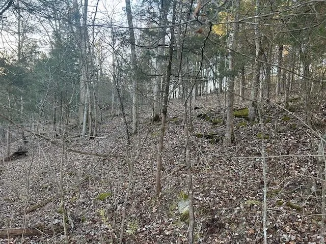 $132,000 | 9425 Drakes Ridge Road, Bennington, IN 47011