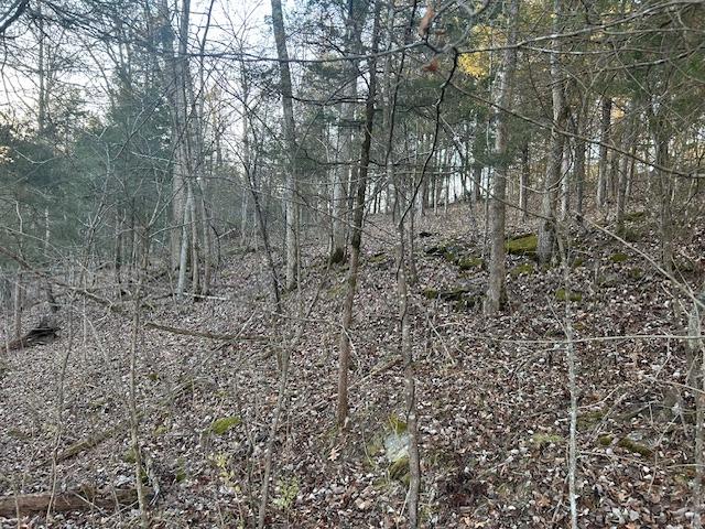 9425 Drakes Ridge Road Bennington, IN 47011 - Photo 12 of 42