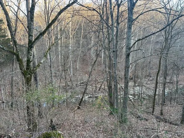 $132,000 | 9425 Drakes Ridge Road, Bennington, IN 47011