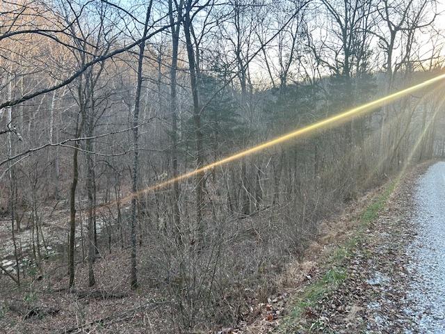 9425 Drakes Ridge Road Bennington, IN 47011 - Photo 15 of 42