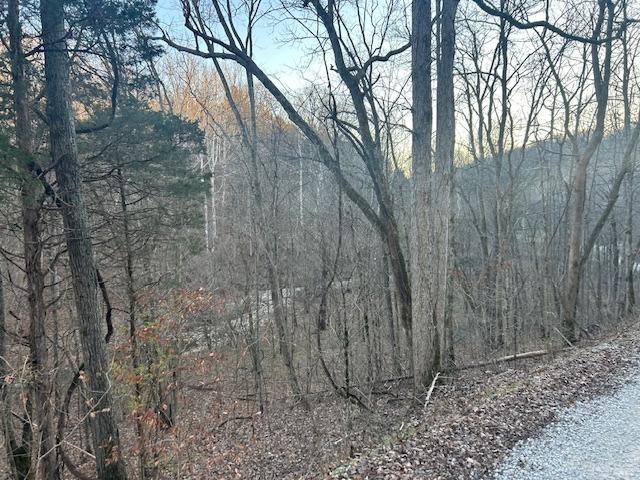 9425 Drakes Ridge Road Bennington, IN 47011 - Photo 16 of 42