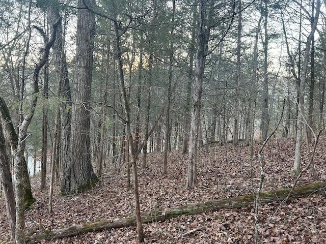 9425 Drakes Ridge Road Bennington, IN 47011 - Photo 17 of 42