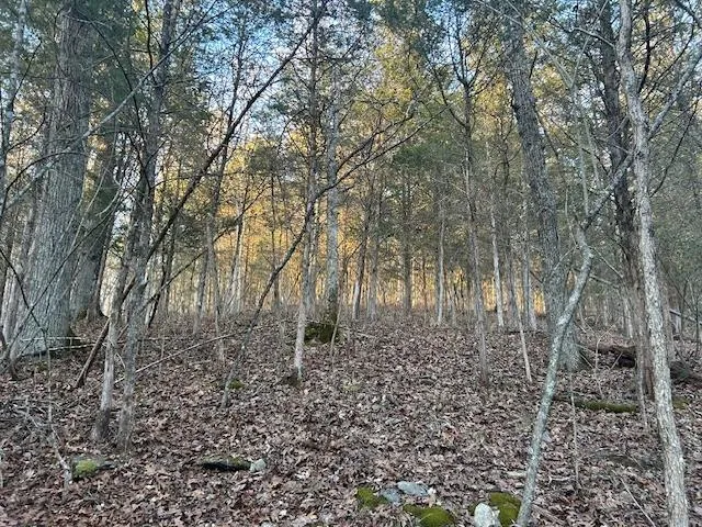 $132,000 | 9425 Drakes Ridge Road, Bennington, IN 47011