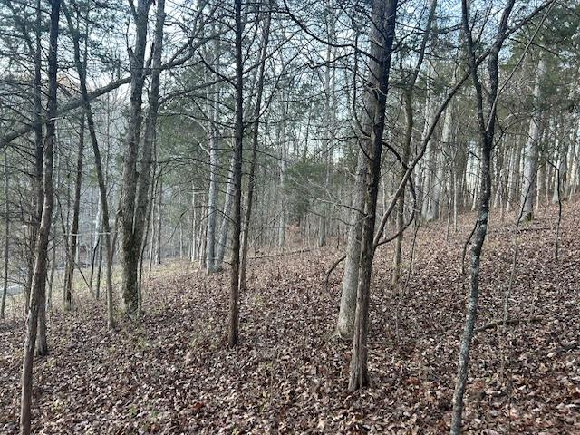 9425 Drakes Ridge Road Bennington, IN 47011 - Photo 20 of 42