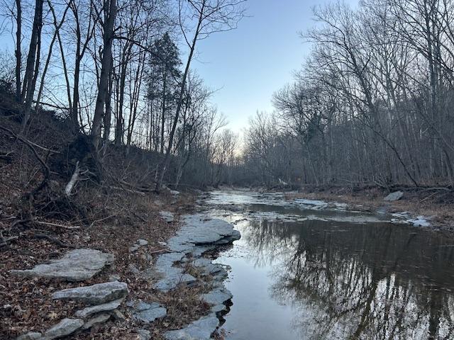 9425 Drakes Ridge Road Bennington, IN 47011 - Photo 2 of 42