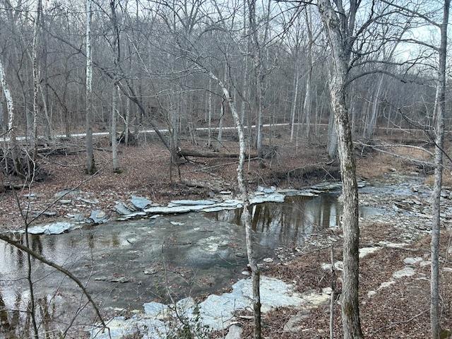 9425 Drakes Ridge Road Bennington, IN 47011 - Photo 25 of 42