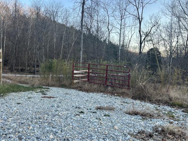 9425 Drakes Ridge Road Bennington, IN 47011 - Photo 30 of 42