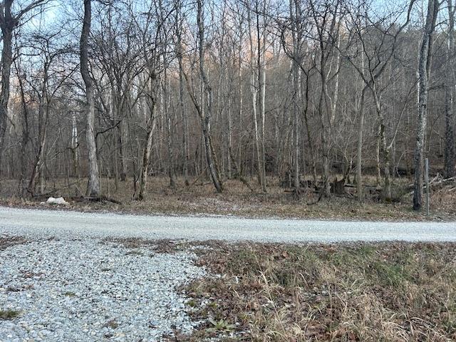 9425 Drakes Ridge Road Bennington, IN 47011 - Photo 31 of 42