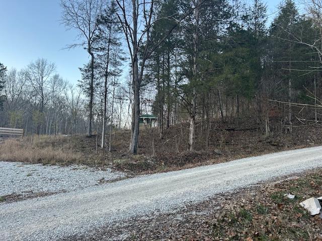 9425 Drakes Ridge Road Bennington, IN 47011 - Photo 33 of 42