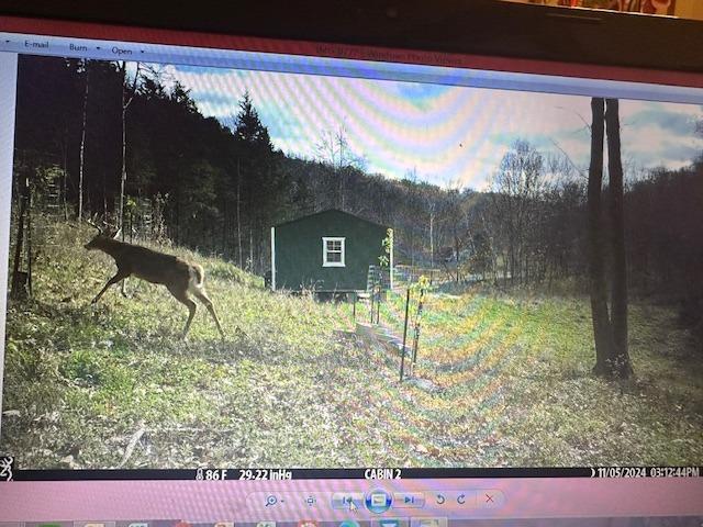 9425 Drakes Ridge Road Bennington, IN 47011 - Photo 39 of 42