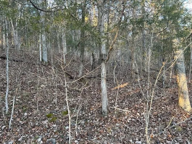 $132,000 | 9425 Drakes Ridge Road, Bennington, IN 47011