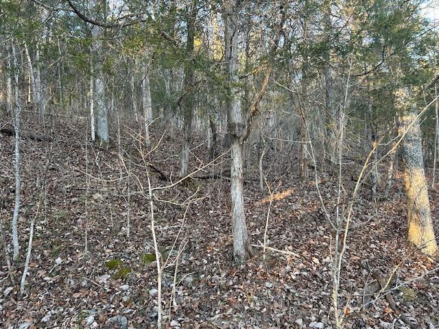 9425 Drakes Ridge Road Bennington, IN 47011 - Photo 9 of 42