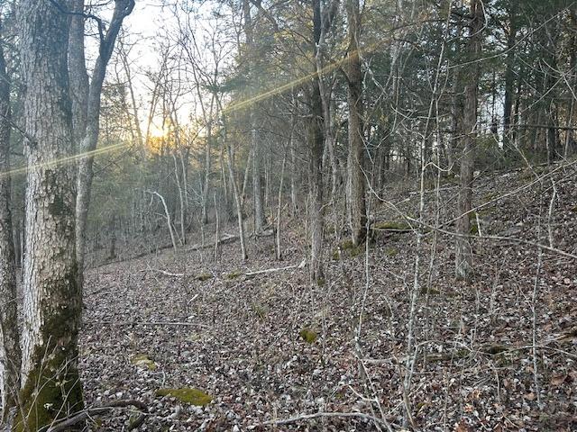 9425 Drakes Ridge Road Bennington, IN 47011 - Photo 10 of 42