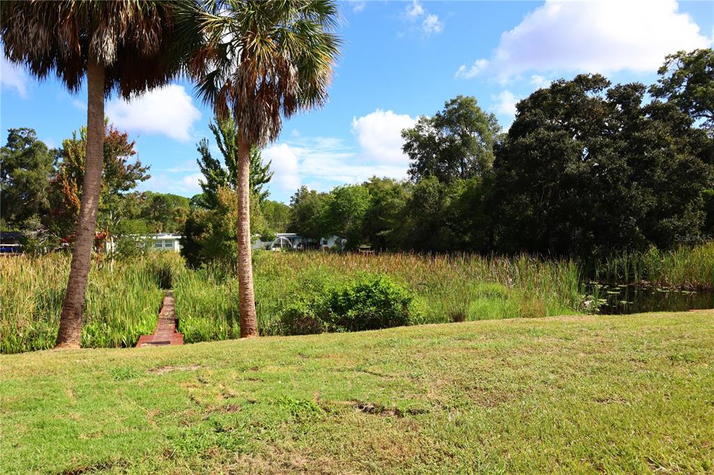6443 Finance Avenue Weeki Wachee, FL 34607 - Photo 7 of 48 Gallery Image 7