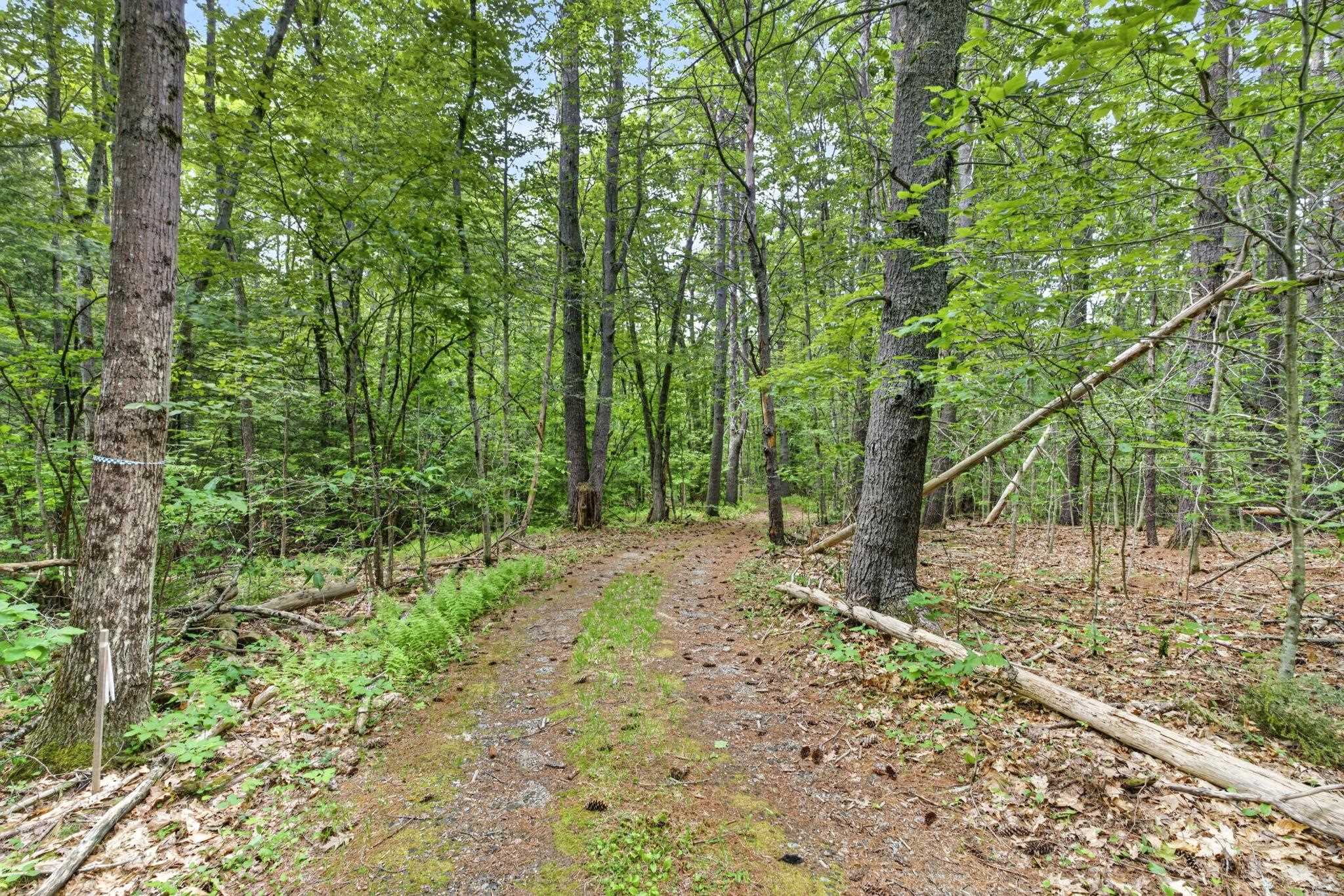 173 N Road Deering, NH 03244 - Photo 40 of 58