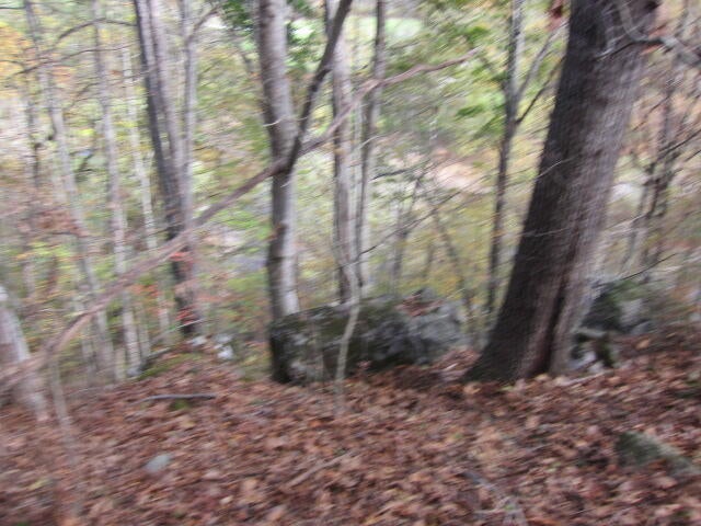 Tbd Spring Creek Station Road Renick, WV 24966 - Photo 24 of 33 Gallery Image 24