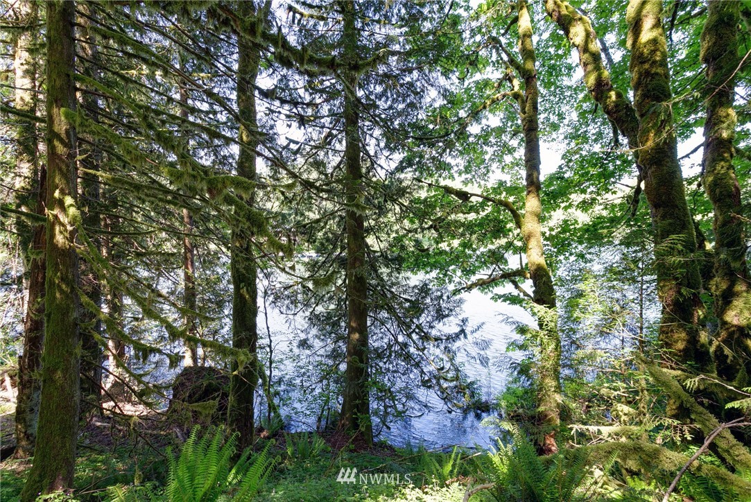 9091 Frost Creek Road Maple Falls, WA 98266 - Photo 25 of 25