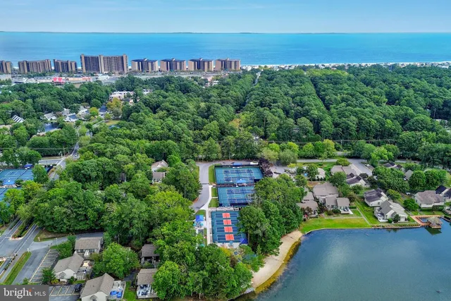 a view of a city from a lake