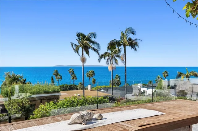 a view of a park with potted plants