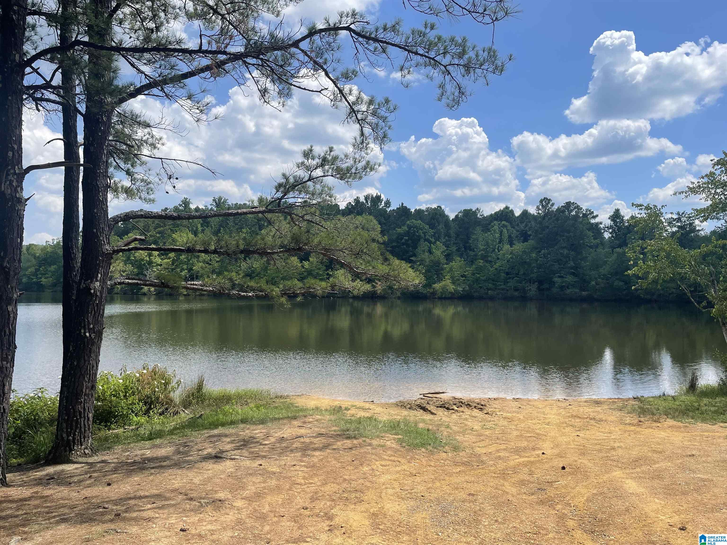 8760 Marsh Mountain Road, Unit 223 Pinson, AL 35126 - Photo 13 of 51