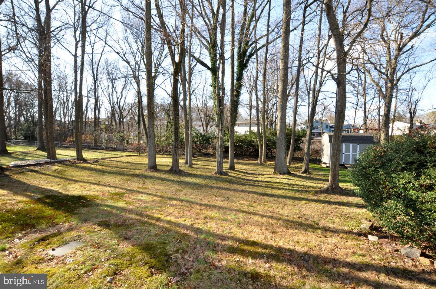 42 Clemson Road Cherry Hill, NJ 08034 - Photo 28 of 28 Backyard