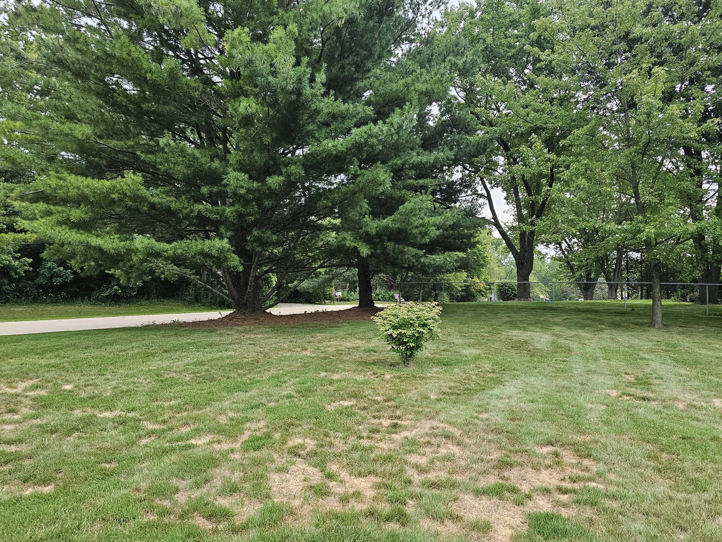7N715 Sycamore Road St. Charles, IL 60175 - Photo 3 of 20 a view of a tree in a yard